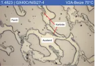Biomasss to energy1568226